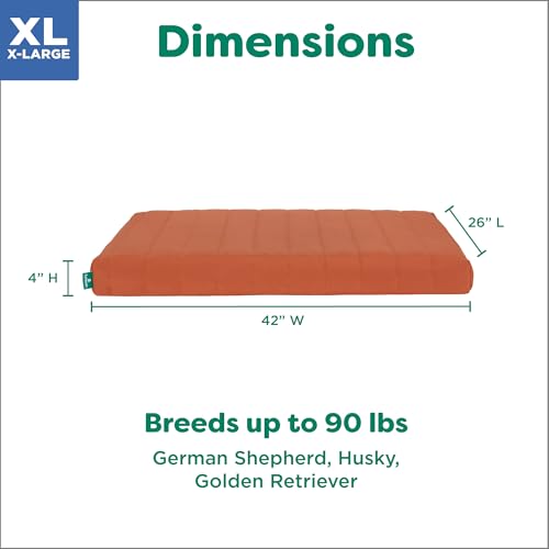 Orthopedic Dog Bed (X-Large / Rust)