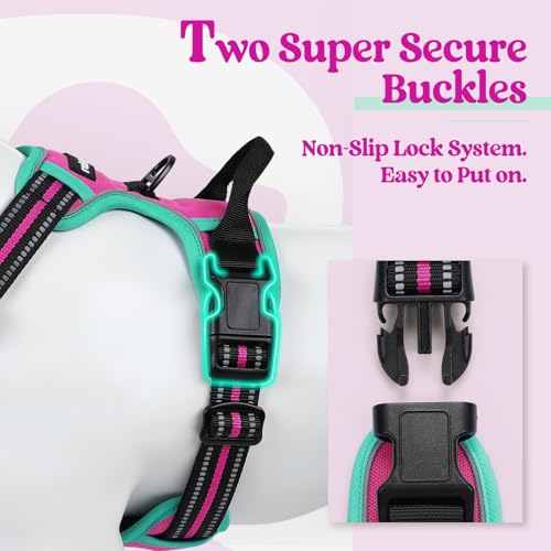 Dog Harness No Pull Medium Sized with 2 Leash Clips (Medium / Hot Pink & Turquoise)