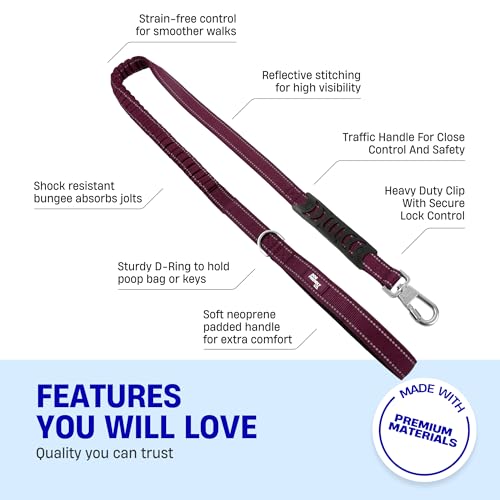 Bungee Dog Leash (Burgundy / Regular)