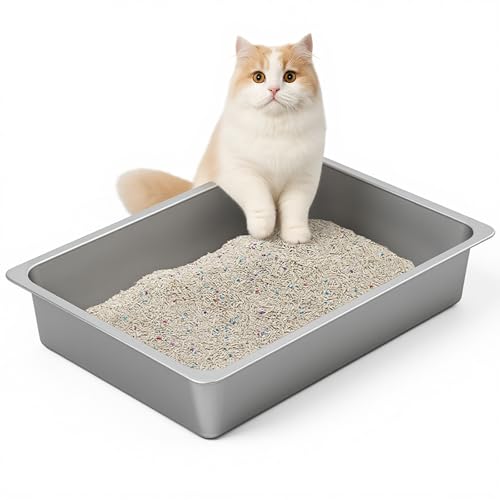Large Stainless Steel Cat Litter Box Low Entry (19.48" L x 13.58" W x 3.9" H)