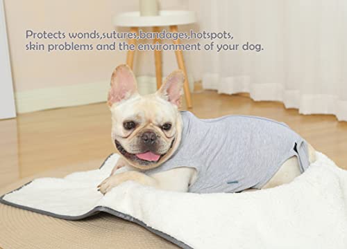 Dog Surgery Recovery Suit (L(Back15- 17" Chest 21- 23" Weight 25- 36 lb) / Grey)