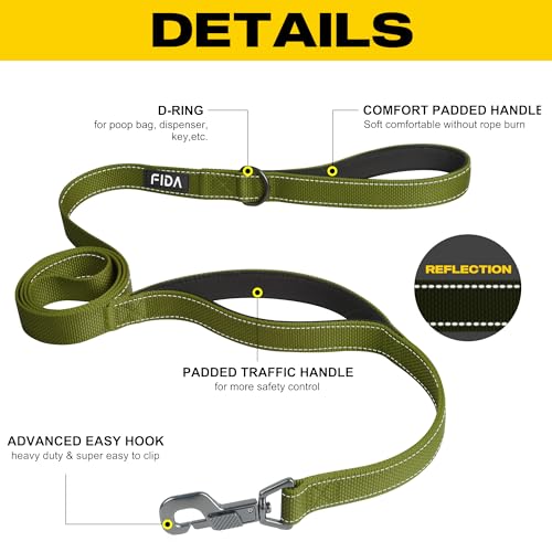 Heavy Duty Dog Leash for Medium Large Dogs (6 Feet (Pack of 1) / Green)