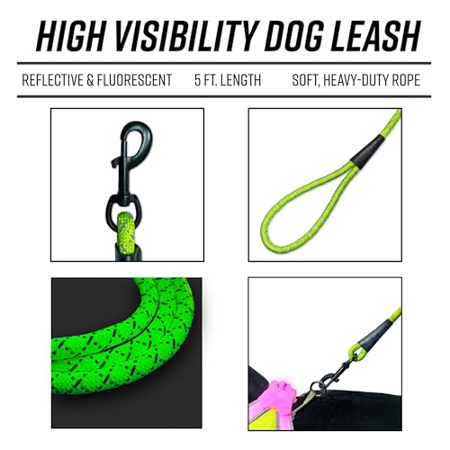 LightHound Light Up Reflective Dog Harness and Leash (X-Large)