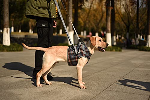 Dog Lift Harness (Large / Chest-Blue)