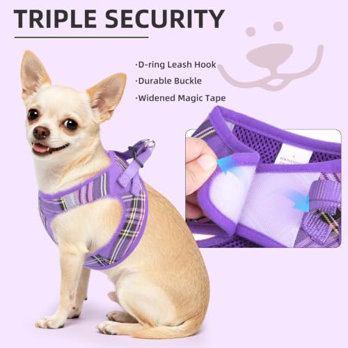 Dog Harness Collar and Leash Set No Pull for Small Medium Sized (Purple / XXS (CHEST 11.5"-13"))