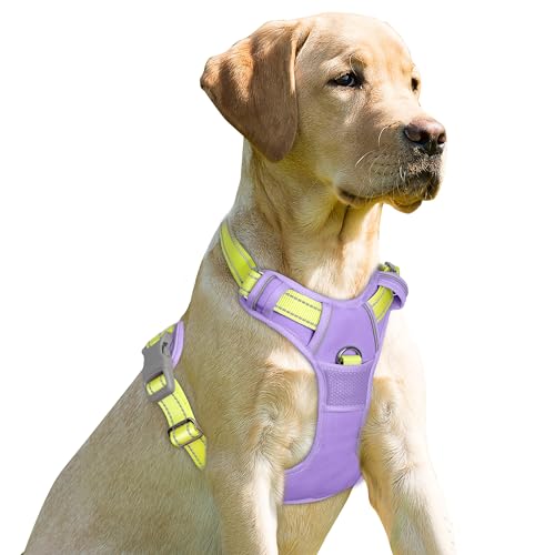 Dog Harness No Pull for Medium Sized Dog Front Back Clips (Medium(Chest:22.5-28") / Violet Purple & Sunlight)