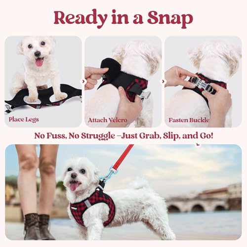 Dog Harness Medium Sized and Leash Set (Red Check / M (chest: 16 - 18.5"))