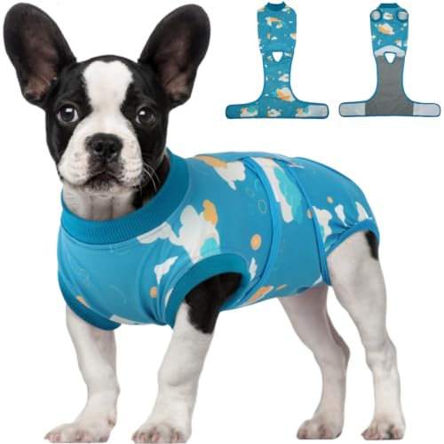 Dog Recovery Suit (Cloud Blue / Small)