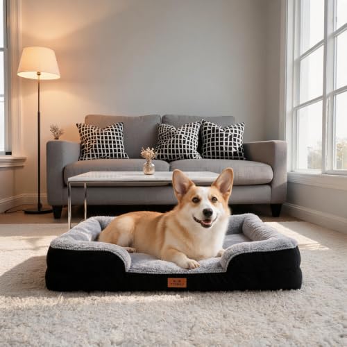 Orthopedic Dog Bed Medium Size Dog (Black / 30.0" L x 20.0" W x 6.3" Th)