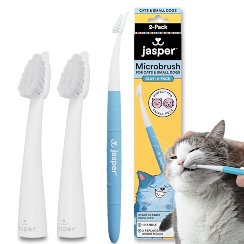 Microbrush Cat Toothbrush (Microbrush Kit)