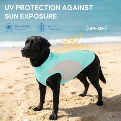 2Pack Dog Cooling Shirt with UPF 50+ UV Protection (XXX-Large (55-75lbs) / Blue)