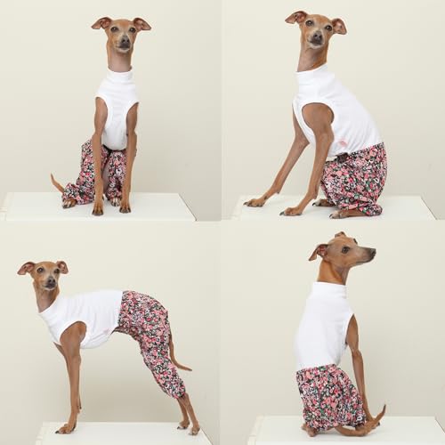 D Doggy Star Italian Greyhound Clothes Mombbe Onesie Outfit Whippet for Dog Coat (3XL / Mombbe Black)