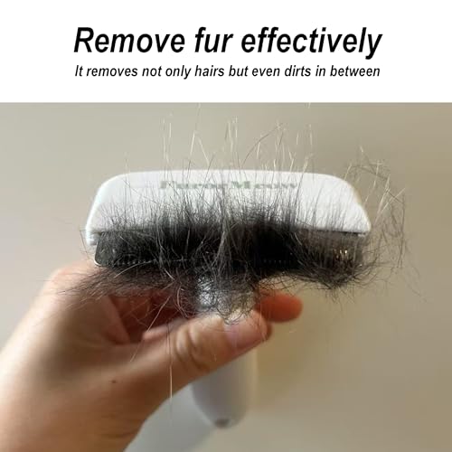 Pet Deshedding Tool with Curve Blade (Small / White)