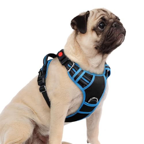 Dog Harness Small Sized (Black & Blue / Small)