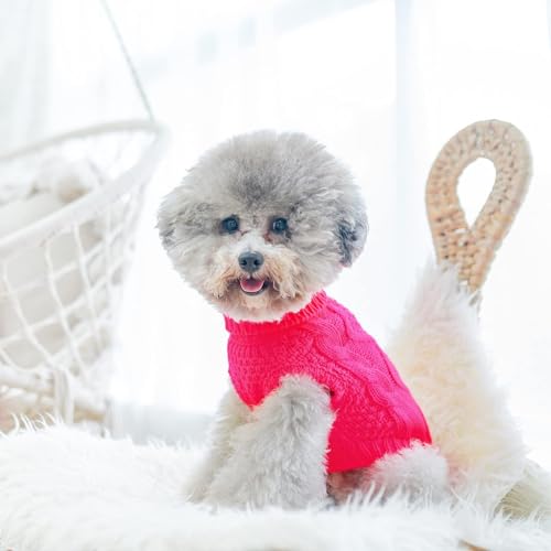 Turtleneck Dog Sweater (Small / Fushcia)
