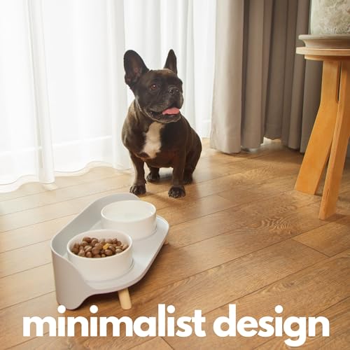 Ceramic Dog Bowls with Stand (13.5 OZ / White / Gray)