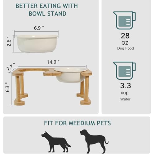 Elevated Ceramic Dog Bowl with Stand (Double Bowls+Stand (Cream White) / M-28OZ)