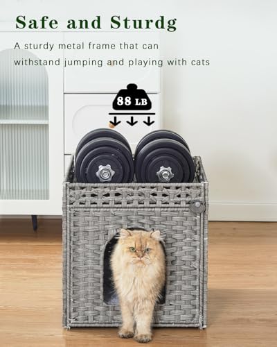 Cat Houses for Indoor Cats Extra Large Double Cat Cave (Gray / Rectangle-XL)