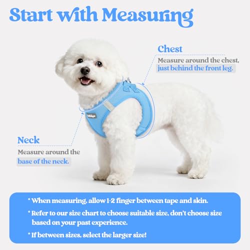 Dog Harness Small Sized and Leash Set (Blue / S (chest: 15.1 - 16.5"))