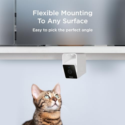 Cam (2-Pack) – Wi-Fi Pet & Security Camera with App