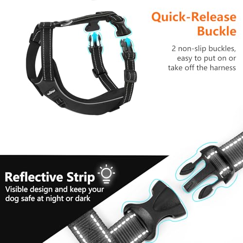 Dog Car Belt Dog Harness Reflective Strip & Adjustable Buckle (Carbon Black / XL (Chest: 24.4-34.7", Neck: 18.9-29.1"))