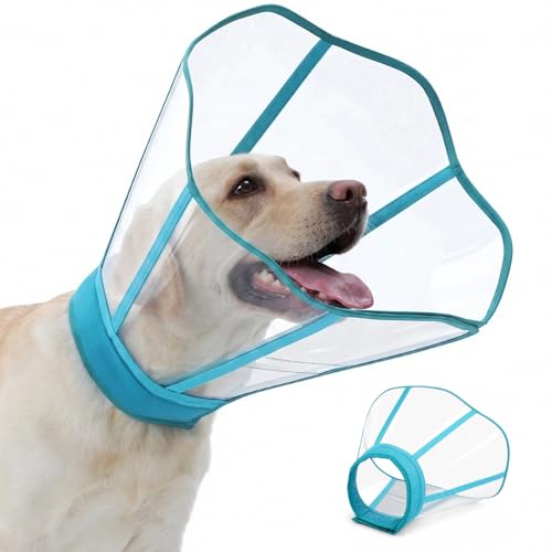 Soft Neck Pad Hard Plastic Dog Surgery Recovery Cone Collar for Small Dogs (Blue-Green / Small)