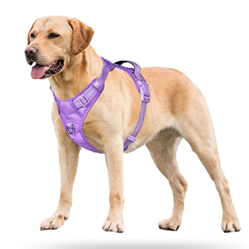 No Pull Dog Harness (S / Light Purple(Matching Trim))