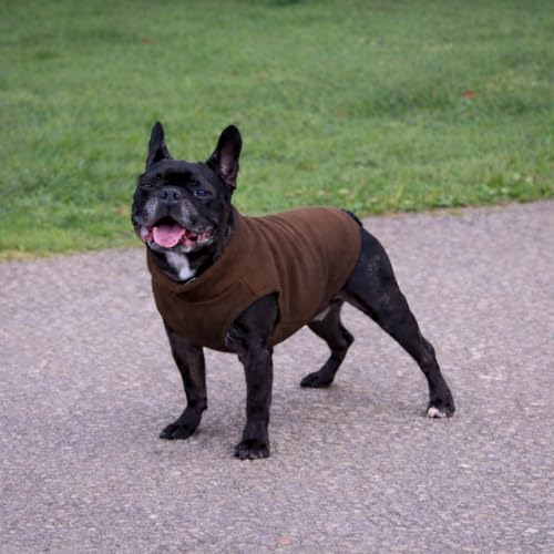 Dog Fleece Vest Sweater with Leash Ring (XL (17-25lbs) / Chocolate Brown)
