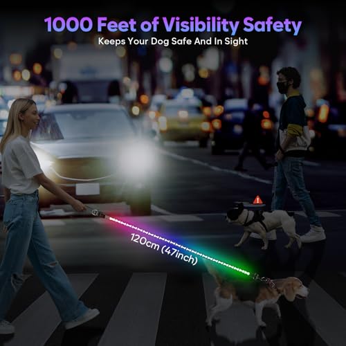 Light Up Dog Leash (Grey)