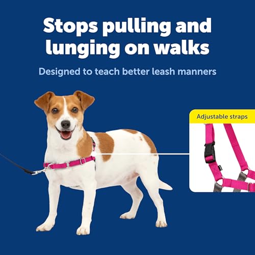 Easy Walk Harness (Small / Raspberry Pink/Grey)