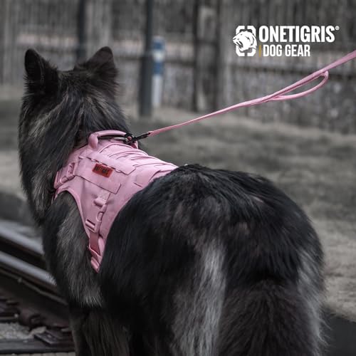 No Pull Dog Leash with Handle for Medium Large Dogs (Pink / 6FT)