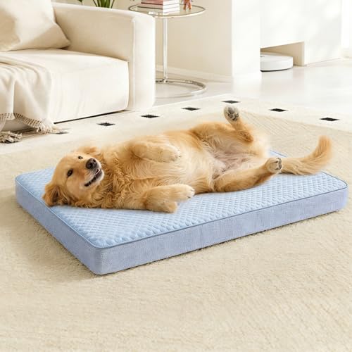 Cooling Dog Bed for Large Dogs (Blue / XX-Large-47"x 29" x 3.5")