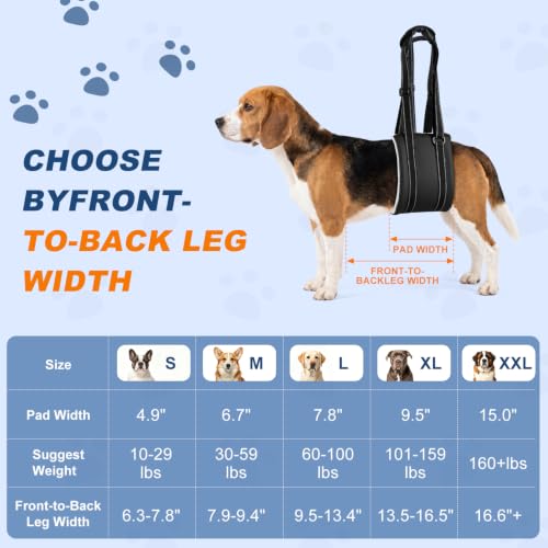 Dog Lift Harness for Rear Legs (Medium)