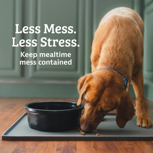 Waterproof Silicone Pet Feeding Mat (20"L x 13"W / Grey)