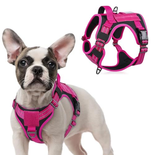 Tactical Dog Harness for Small (Black & Rose Red / Small)
