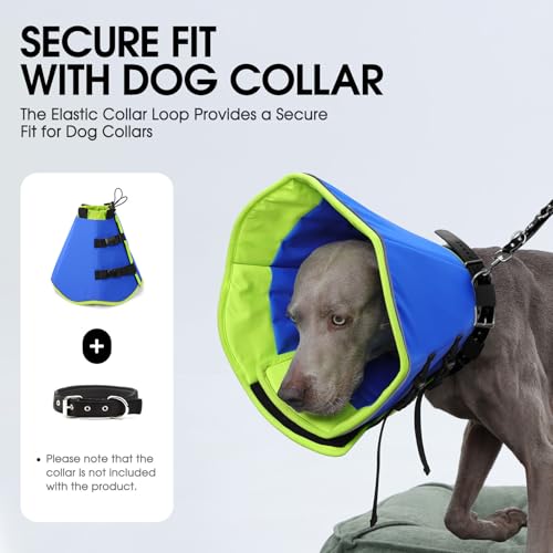Dog Cones for Medium Dogs (Blue / Medium)