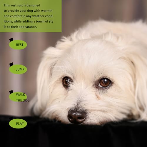 Elevate Your Pet's Seasonal Style with Playful Panache (2XL-(20~30lb) | Chest(~21.5") / PANTS OPTIONAL)