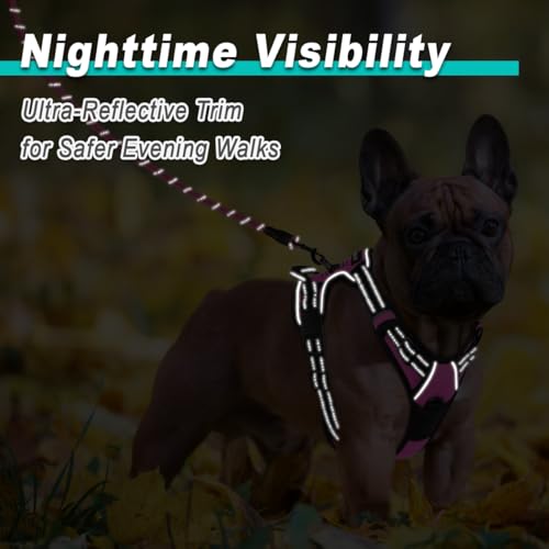 Dog Harness for Small Sized Dog No Pull 2 Leash Clips Dog Vest (X-Small / Pink)
