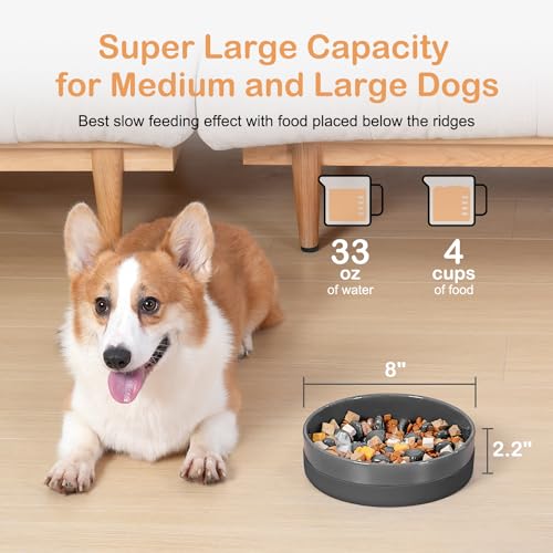 Ceramic Slow Feeder Dog Bowls with Silicone Base (Medium-8 inches / Grey)