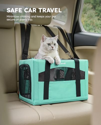 Cat Carrier Stable (Light Green / 16.9"L x 11.0"W x 11.0"H)