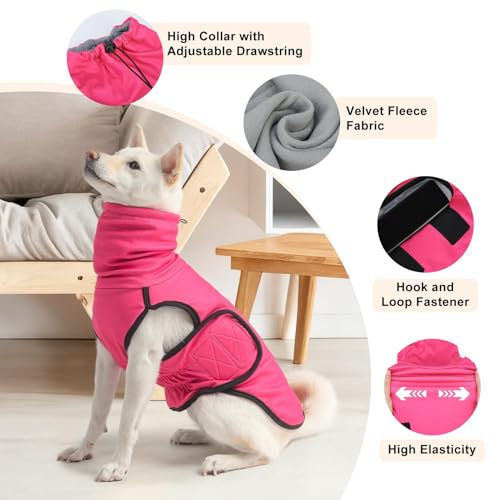 Reversible Dog Anxiety Vest (Medium(Chest:19") / Rose)