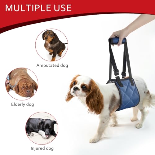 Adjustable Dog Sling Dog Lift Harness for Large Dogs Hind Leg Support (Navy / Large)