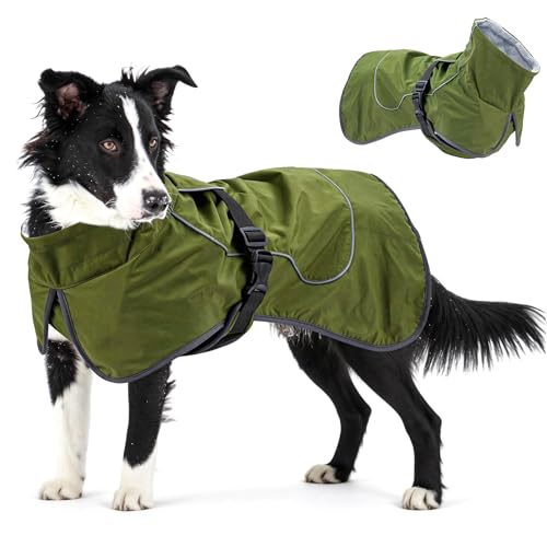 Waterproof Dog Raincoat (Green (Velvet Lining) / S)
