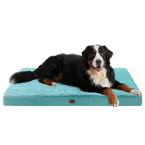 Orthopedic Dog Bed Extra Large with Removable Washable Cover (50*36*4 inches / Turquoise Blue)