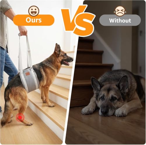 Adjustable Dog Sling for Extra Large Dogs Mobility Aid for Weak Rear Legs (Grey & Grey / X-Large)
