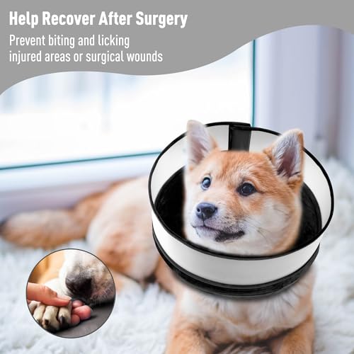 Inflatable Dog Cone (L / Black)