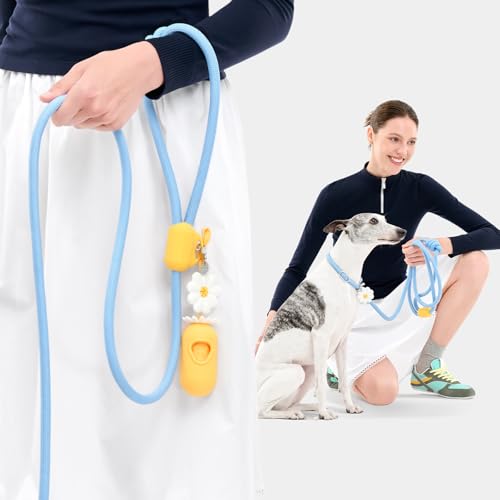Hands Free Dog Leash (Daisy Blue)