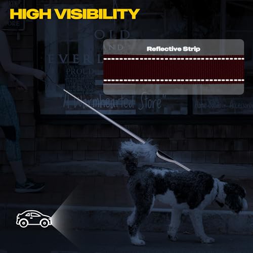10 FT Heavy Duty Dog Leash (10 Feet (Pack of 1) / Red)