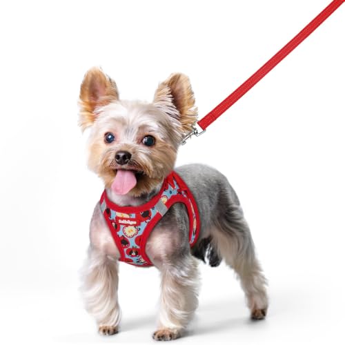 Dog Harness Small Sized and Leash Set (Apple Pups / Xs (chest: 13.3 - 15.5"))