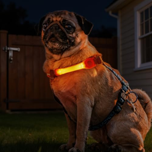 LED Dog Leash with Light Heavy Duty for Large Dogs Night Walking (YellowOrange+Tangerine light)